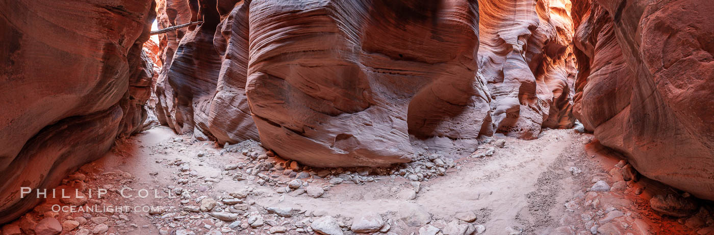 A hiker considers a log suspended high overhead in the Buckskin Gulch Narrows, left there by a previous flash flood.  A hiker moves through the deep narrow passages of Buckskin Gulch, a slot canyon cut deep into sandstone by years of river-induced erosion.  In some places the Buckskin Gulch narrows are only about 15 feet wide but several hundred feet high, blocking sunlight.  Flash floods are dangerous as there is no escape once into the Buckskin Gulch slot canyons.  This is a panorama made of twelve individual photos. Paria Canyon-Vermilion Cliffs Wilderness, Arizona, USA, natural history stock photograph, photo id 20703