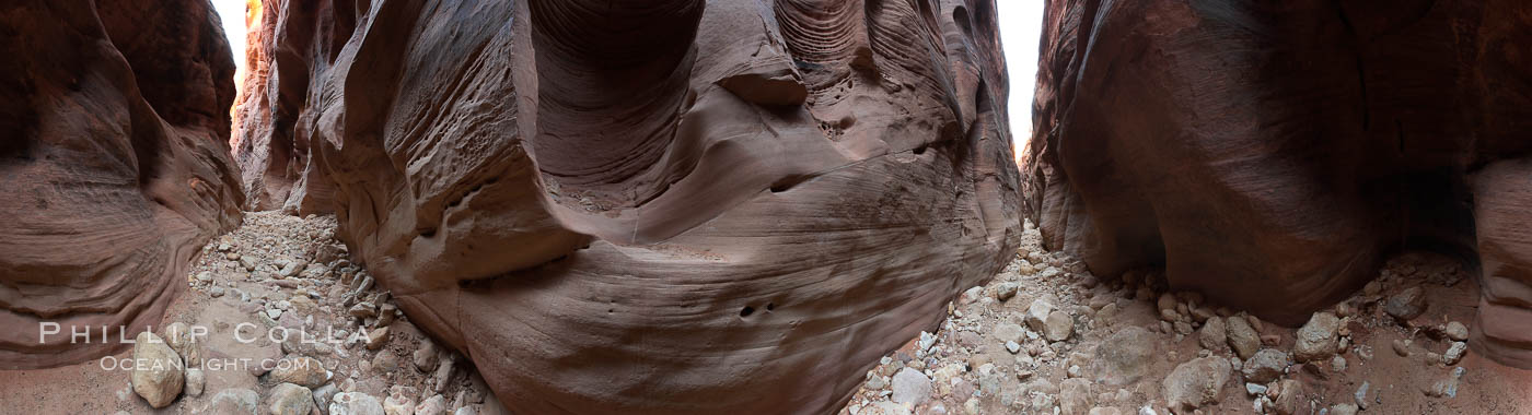 Buckskin Gulch Narrows.  Seen here are the deep narrow passages of Buckskin Gulch, a slot canyon cut deep into sandstone by years of river-induced erosion.  In some places the Buckskin Gulch narrows are only about 15 feet wide but several hundred feet high, blocking sunlight.  Flash floods are dangerous as there is no escape once into the Buckskin Gulch slot canyons.  This is a panorama made of nine individual photos. Paria Canyon-Vermilion Cliffs Wilderness, Arizona, USA, natural history stock photograph, photo id 20706