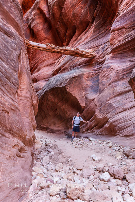 Suspended log in Buckskin Gulch.  A hiker considers a heavy log stuck between the narrow walls of Buckskin Gulch, placed there by a flash flood some time in the past.  Buckskin Gulch is the world's longest accessible slot canyon, forged by centuries of erosion through sandstone.  Flash flooding is a serious danger in the narrows where there is no escape. Paria Canyon-Vermilion Cliffs Wilderness, Arizona, USA, natural history stock photograph, photo id 20717