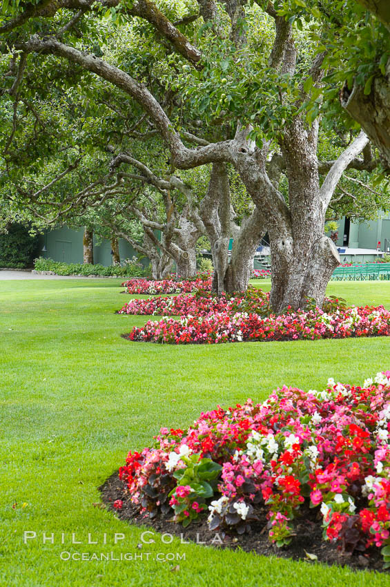 Butchart Gardens, a group of floral display gardens in Brentwood Bay, British Columbia, Canada, near Victoria on Vancouver Island. It is an internationally-known tourist attraction which receives more than a million visitors each year., natural history stock photograph, photo id 21128