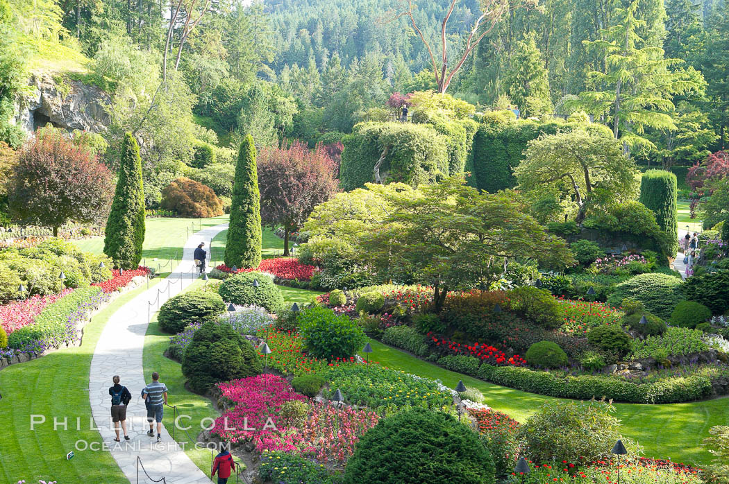 Butchart Gardens, a group of floral display gardens in Brentwood Bay, British Columbia, Canada, near Victoria on Vancouver Island. It is an internationally-known tourist attraction which receives more than a million visitors each year., natural history stock photograph, photo id 21136