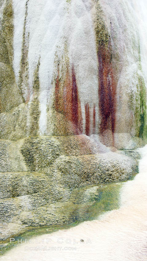 Calcium carbonate and algae detail, Orange Spring Mound. Mammoth Hot Springs, Yellowstone National Park, Wyoming, USA, natural history stock photograph, photo id 19801
