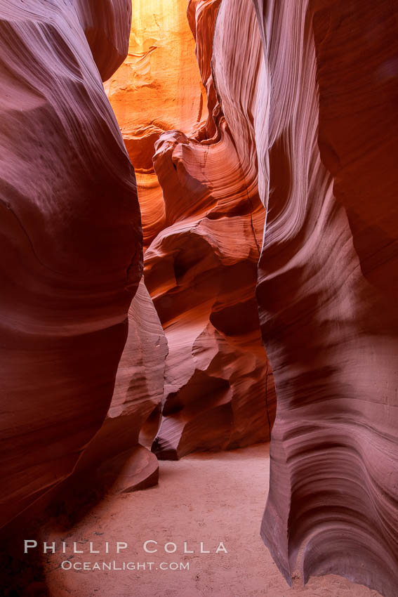 Canyon X, a spectacular slot canyon near Page, Arizona.  Slot canyons are formed when water and wind erode a cut through a (usually sandstone) mesa, producing a very narrow passage that may be as slim as a few feet and a hundred feet or more in height. USA, natural history stock photograph, photo id 36014