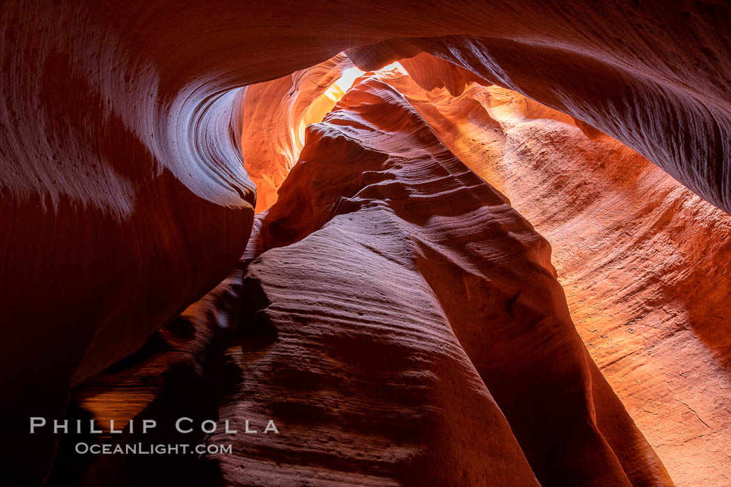 Canyon X, a spectacular slot canyon near Page, Arizona.  Slot canyons are formed when water and wind erode a cut through a (usually sandstone) mesa, producing a very narrow passage that may be as slim as a few feet and a hundred feet or more in height. USA, natural history stock photograph, photo id 36013