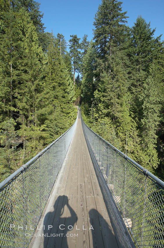 Capilano Suspension Bridge, 140 m (450 ft) long and hanging 70 m (230 ft) above the Capilano River.  The two pre-stressed steel cables supporting the bridge are each capable of supporting 45,000 kgs and together can hold about 1300 people. Vancouver, British Columbia, Canada, natural history stock photograph, photo id 21152