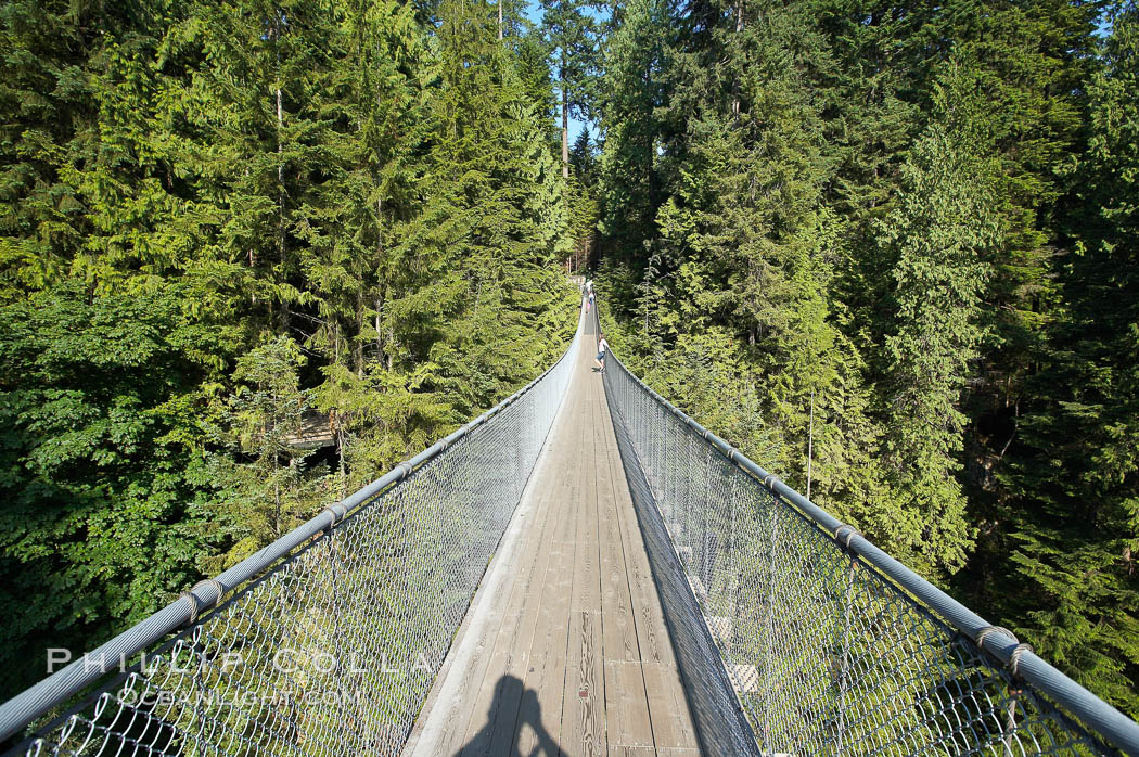 Capilano Suspension Bridge, 140 m (450 ft) long and hanging 70 m (230 ft) above the Capilano River.  The two pre-stressed steel cables supporting the bridge are each capable of supporting 45,000 kgs and together can hold about 1300 people. Vancouver, British Columbia, Canada, natural history stock photograph, photo id 21147