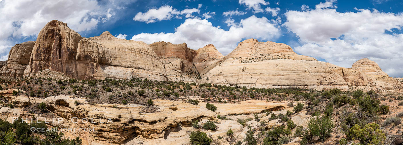 Capitol Reef National Park, Utah. USA, natural history stock photograph, photo id 37017