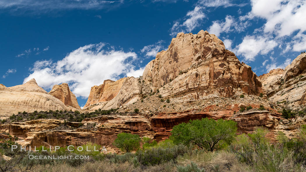 Capitol Reef National Park, Utah. USA, natural history stock photograph, photo id 37010