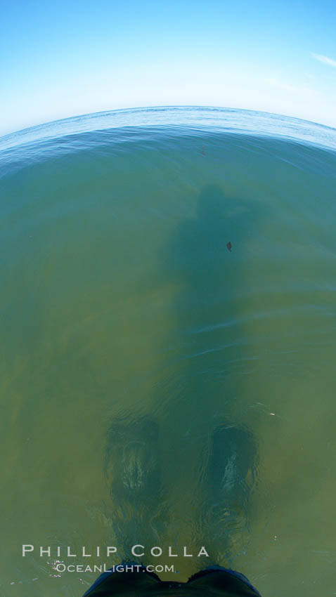Guy stands in shallow water wearing his long fins, takes photo of his shadow. Cardiff by the Sea, California, USA, natural history stock photograph, photo id 23298