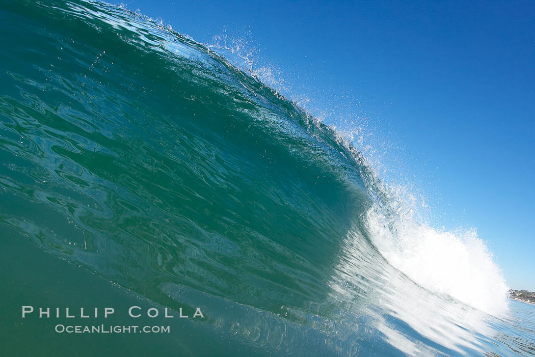 Cardiff., natural history stock photograph, photo id 17667