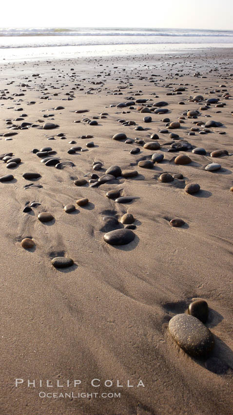 Cobblestones on a flat sand beach.  Cobble stones are polished round and smooth by years of wave energy.  They are alternately exposed and covered by sand depending on the tides, waves and seasons of the year.  Cobblestones are common on the beaches of southern California, contained in the sandstone bluffs along the beach and released onto the beach as the bluffs erode. Carlsbad, USA, natural history stock photograph, photo id 19824