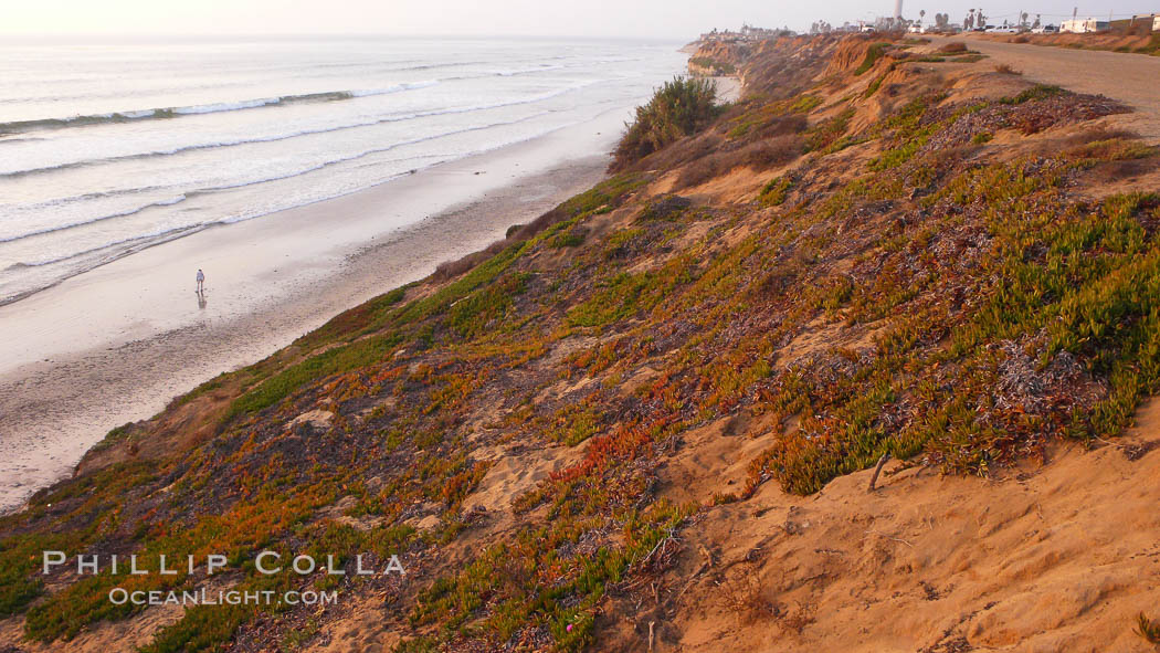 Eroding sandstone bluffs rise above a flat sand beach at sunset, small waves coming ashore, north of South Carlsbad State Beach. California, USA, natural history stock photograph, photo id 19819