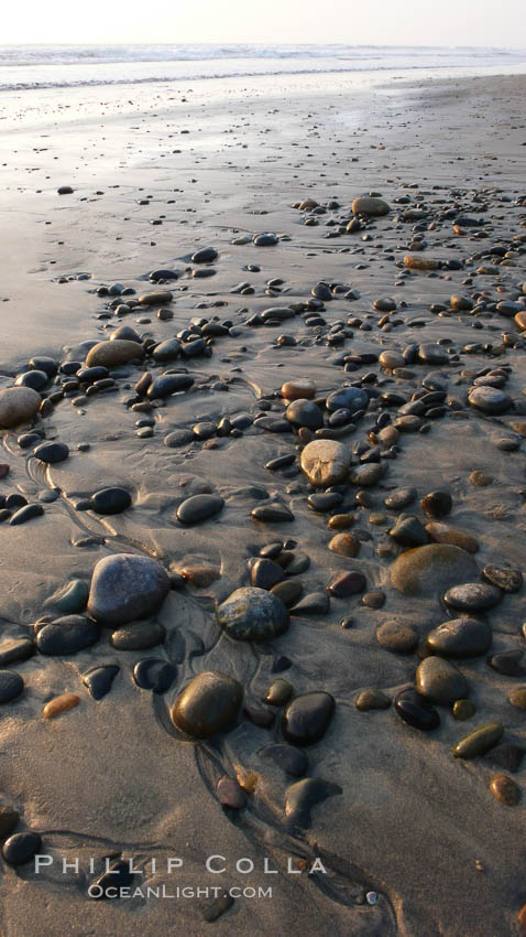 Cobblestones on a flat sand beach.  Cobble stones are polished round and smooth by years of wave energy.  They are alternately exposed and covered by sand depending on the tides, waves and seasons of the year.  Cobblestones are common on the beaches of southern California, contained in the sandstone bluffs along the beach and released onto the beach as the bluffs erode. Carlsbad, USA, natural history stock photograph, photo id 19817