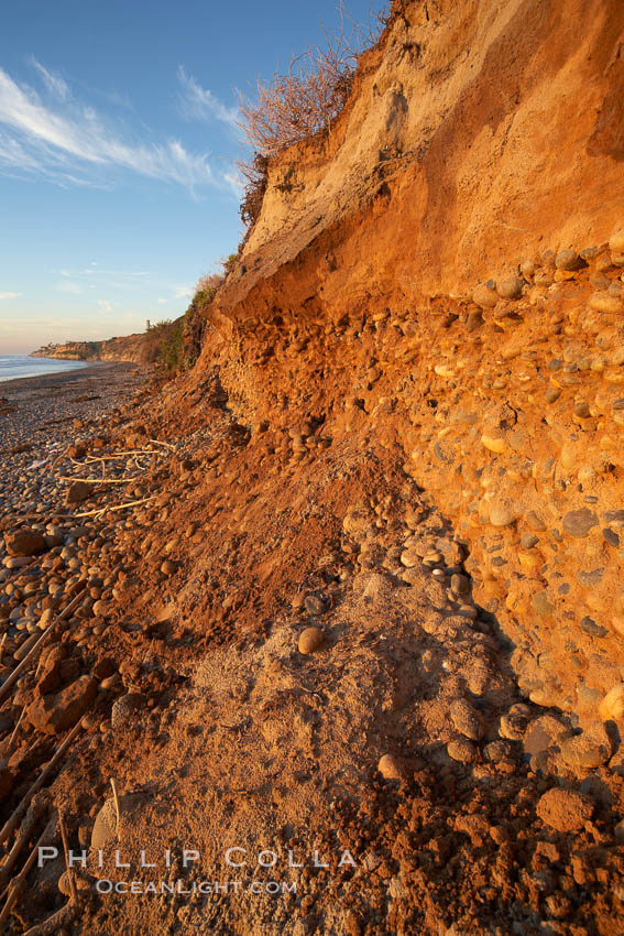 Beach cliffs made of soft clay continually erode, adding fresh sand and cobble stones to the beach.  The sand will flow away with ocean currents, leading for further erosion of the cliffs. Carlsbad, California, USA, natural history stock photograph, photo id 22189