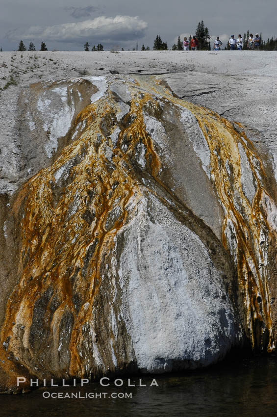 Cascade Geyser, a currently-dormant geyser with brightly color flow area into the Firehole River. Upper Geyser Basin, Yellowstone National Park, Wyoming, USA, natural history stock photograph, photo id 07238