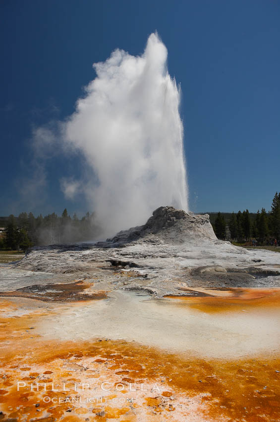 Castle Geyser erupts with the colorful bacteria mats of Tortoise Shell Spring in the foreground.  Castle Geyser reaches 60 to 90 feet in height and lasts 20 minutes.  While Castle Geyser has a 12 foot sinter cone that took 5,000 to 15,000 years to form, it is in fact situated atop geyserite terraces that themselves may have taken 200,000 years to form, making it likely the oldest active geyser in the park. Upper Geyser Basin. Yellowstone National Park, Wyoming, USA, natural history stock photograph, photo id 13418