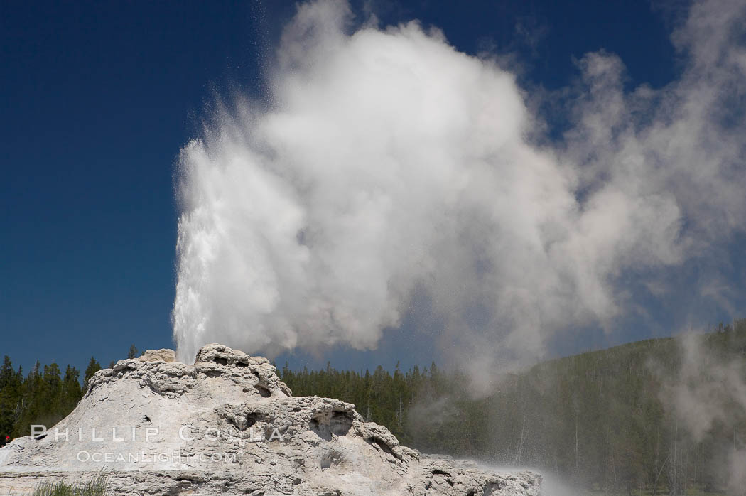 Castle Geyser erupts, reaching 60 to 90 feet in height and lasting 20 minutes.  While Castle Geyser has a 12 foot sinter cone that took 5,000 to 15,000 years to form, it is in fact situated atop geyserite terraces that themselves may have taken 200,000 years to form, making it likely the oldest active geyser in the park. Upper Geyser Basin. Yellowstone National Park, Wyoming, USA, natural history stock photograph, photo id 13422