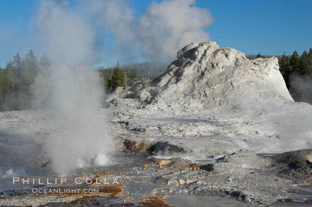Tortoise Shell Spring bubbles in front of the sinter cone of Castle Geyser.  Upper Geyser Basin. Yellowstone National Park, Wyoming, USA, natural history stock photograph, photo id 13430
