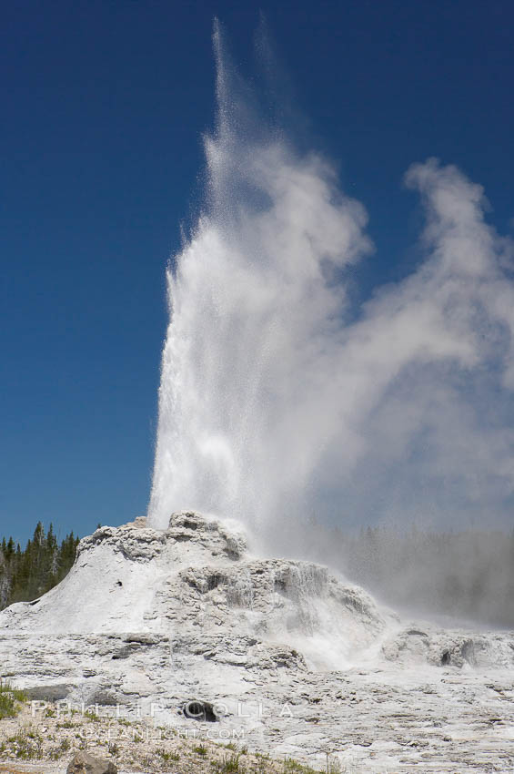 Castle Geyser erupts, reaching 60 to 90 feet in height and lasting 20 minutes.  While Castle Geyser has a 12 foot sinter cone that took 5,000 to 15,000 years to form, it is in fact situated atop geyserite terraces that themselves may have taken 200,000 years to form, making it likely the oldest active geyser in the park. Upper Geyser Basin. Yellowstone National Park, Wyoming, USA, natural history stock photograph, photo id 13434