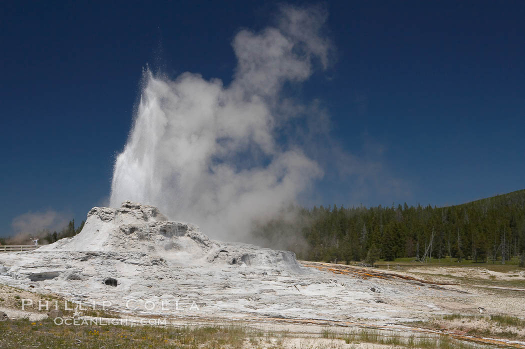 Castle Geyser erupts, reaching 60 to 90 feet in height and lasting 20 minutes.  While Castle Geyser has a 12 foot sinter cone that took 5,000 to 15,000 years to form, it is in fact situated atop geyserite terraces that themselves may have taken 200,000 years to form, making it likely the oldest active geyser in the park. Upper Geyser Basin. Yellowstone National Park, Wyoming, USA, natural history stock photograph, photo id 13438