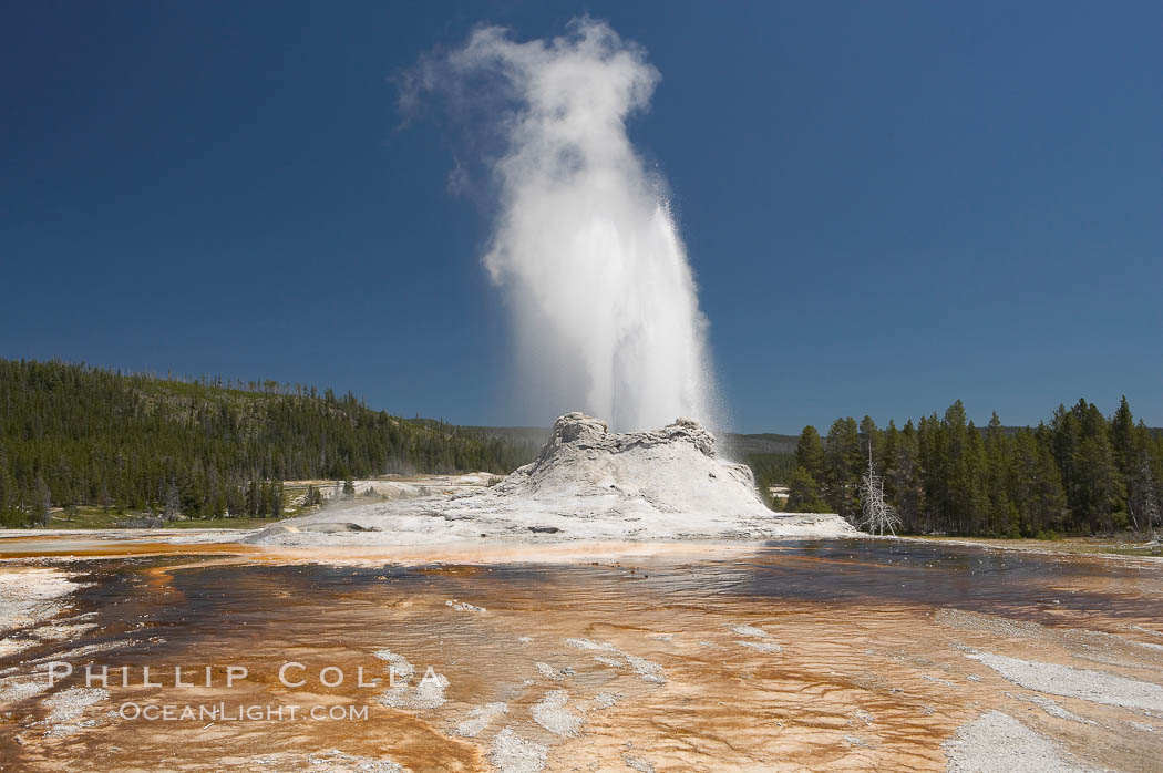 Castle Geyser erupts with the colorful bacteria mats of Tortoise Shell Spring in the foreground.  Castle Geyser reaches 60 to 90 feet in height and lasts 20 minutes.  While Castle Geyser has a 12 foot sinter cone that took 5,000 to 15,000 years to form, it is in fact situated atop geyserite terraces that themselves may have taken 200,000 years to form, making it likely the oldest active geyser in the park. Upper Geyser Basin. Yellowstone National Park, Wyoming, USA, natural history stock photograph, photo id 13420