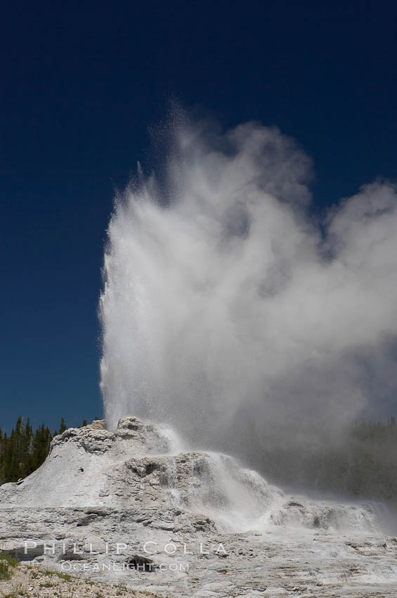 Castle Geyser erupts, reaching 60 to 90 feet in height and lasting 20 minutes.  While Castle Geyser has a 12 foot sinter cone that took 5,000 to 15,000 years to form, it is in fact situated atop geyserite terraces that themselves may have taken 200,000 years to form, making it likely the oldest active geyser in the park. Upper Geyser Basin. Yellowstone National Park, Wyoming, USA, natural history stock photograph, photo id 13436