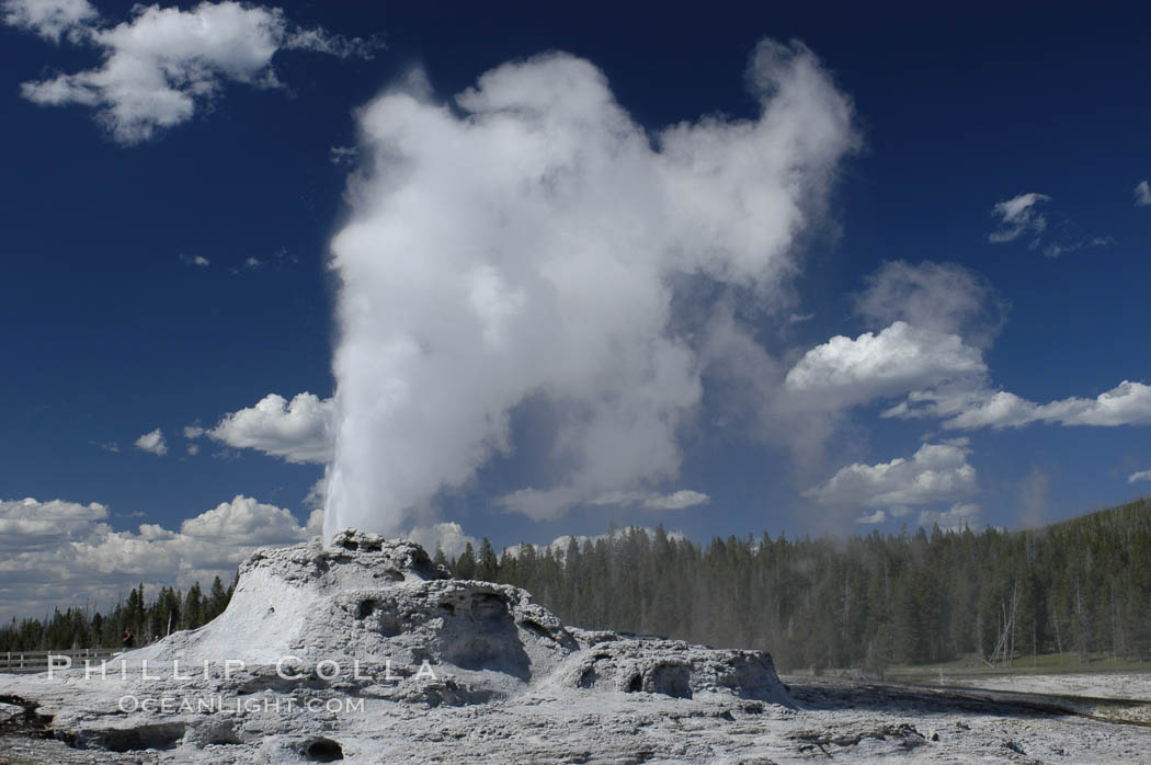 Castle Geyser erupting. Upper Geyser Basin. Yellowstone National Park, Wyoming, USA, natural history stock photograph, photo id 07215