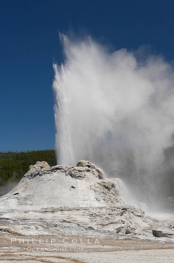 Castle Geyser erupts, reaching 60 to 90 feet in height and lasting 20 minutes.  While Castle Geyser has a 12 foot sinter cone that took 5,000 to 15,000 years to form, it is in fact situated atop geyserite terraces that themselves may have taken 200,000 years to form, making it likely the oldest active geyser in the park. Upper Geyser Basin. Yellowstone National Park, Wyoming, USA, natural history stock photograph, photo id 13419