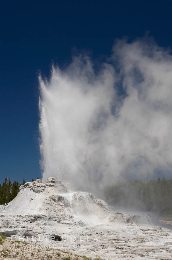 Castle Geyser erupts, reaching 60 to 90 feet in height and lasting 20 minutes.  While Castle Geyser has a 12 foot sinter cone that took 5,000 to 15,000 years to form, it is in fact situated atop geyserite terraces that themselves may have taken 200,000 years to form, making it likely the oldest active geyser in the park. Upper Geyser Basin. Yellowstone National Park, Wyoming, USA, natural history stock photograph, photo id 13423