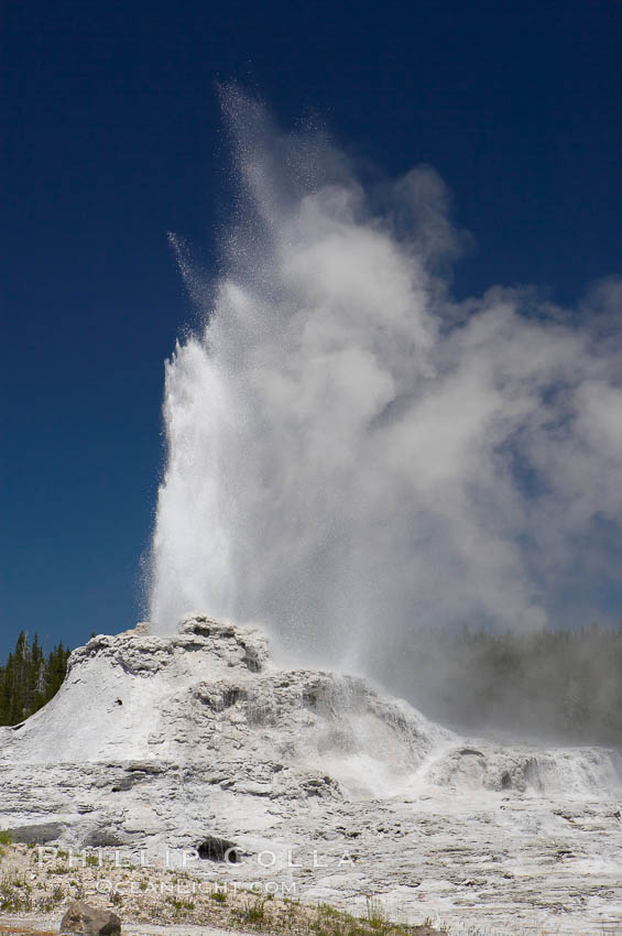 Castle Geyser erupts, reaching 60 to 90 feet in height and lasting 20 minutes.  While Castle Geyser has a 12 foot sinter cone that took 5,000 to 15,000 years to form, it is in fact situated atop geyserite terraces that themselves may have taken 200,000 years to form, making it likely the oldest active geyser in the park. Upper Geyser Basin. Yellowstone National Park, Wyoming, USA, natural history stock photograph, photo id 13435