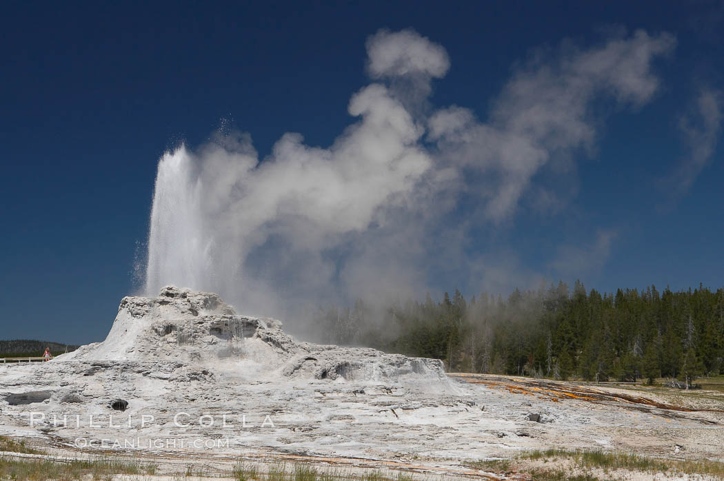 Castle Geyser, Upper Geyser Basin, Yellowstone National Park, Wyoming