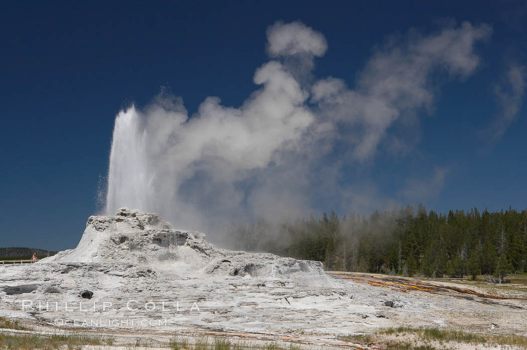 Castle Geyser erupts, reaching 60 to 90 feet in height and lasting 20 minutes.  While Castle Geyser has a 12 foot sinter cone that took 5,000 to 15,000 years to form, it is in fact situated atop geyserite terraces that themselves may have taken 200,000 years to form, making it likely the oldest active geyser in the park. Upper Geyser Basin. Yellowstone National Park, Wyoming, USA, natural history stock photograph, photo id 13439