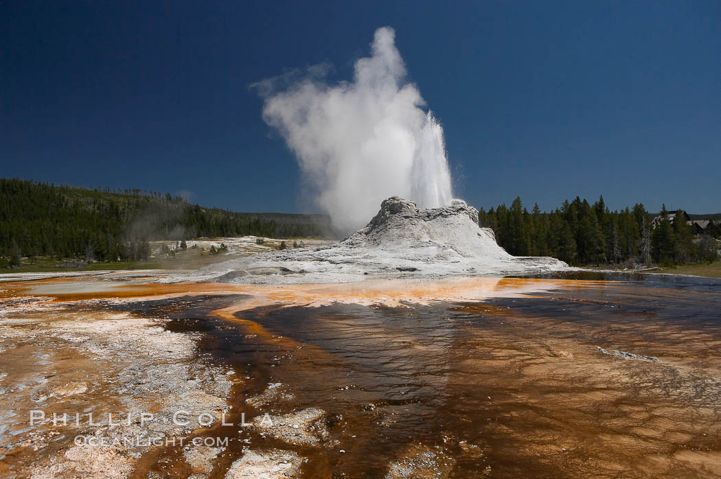 Castle Geyser erupts with the colorful bacteria mats of Tortoise Shell Spring in the foreground.  Castle Geyser reaches 60 to 90 feet in height and lasts 20 minutes.  While Castle Geyser has a 12 foot sinter cone that took 5,000 to 15,000 years to form, it is in fact situated atop geyserite terraces that themselves may have taken 200,000 years to form, making it likely the oldest active geyser in the park. Upper Geyser Basin. Yellowstone National Park, Wyoming, USA, natural history stock photograph, photo id 13443