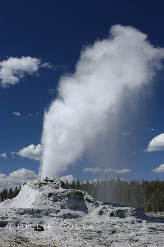 Castle Geyser erupting. Upper Geyser Basin. Yellowstone National Park, Wyoming, USA, natural history stock photograph, photo id 07213