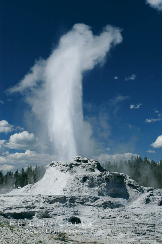 Castle Geyser erupting. Upper Geyser Basin. Yellowstone National Park, Wyoming, USA, natural history stock photograph, photo id 07217