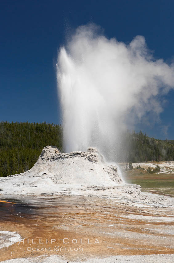 Castle Geyser erupts with the colorful bacteria mats of Tortoise Shell Spring in the foreground.  Castle Geyser reaches 60 to 90 feet in height and lasts 20 minutes.  While Castle Geyser has a 12 foot sinter cone that took 5,000 to 15,000 years to form, it is in fact situated atop geyserite terraces that themselves may have taken 200,000 years to form, making it likely the oldest active geyser in the park. Upper Geyser Basin. Yellowstone National Park, Wyoming, USA, natural history stock photograph, photo id 13425