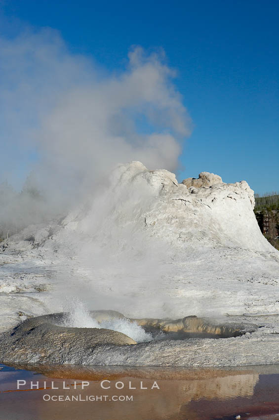 Tortoise Shell Spring bubbles in front of the sinter cone of Castle Geyser.  Upper Geyser Basin. Yellowstone National Park, Wyoming, USA, natural history stock photograph, photo id 13429