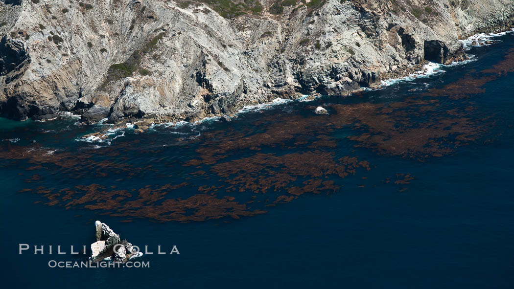 Catalina Island, showing kelp beds around Eagle Rock and West End. California, USA, natural history stock photograph, photo id 26026