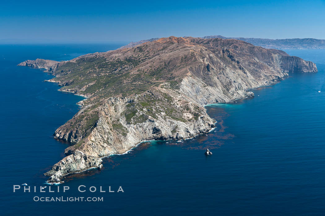 Catalina Island, West End. California, USA, natural history stock photograph, photo id 26024