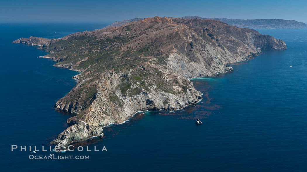 Catalina Island, West End. California, USA, natural history stock photograph, photo id 25985