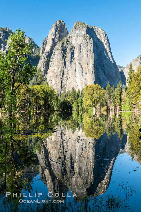 Cathedral Rocks reflected in a meadow flooded by the Merced River, historical snowmelt following record snowfall floods Yosemite Valley in May 2023. Yosemite National Park, California, USA, natural history stock photograph, photo id 39374