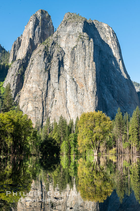 Cathedral Rocks reflected in a meadow flooded by the Merced River, historical snowmelt following record snowfall floods Yosemite Valley in May 2023. Yosemite National Park, California, USA, natural history stock photograph, photo id 39376