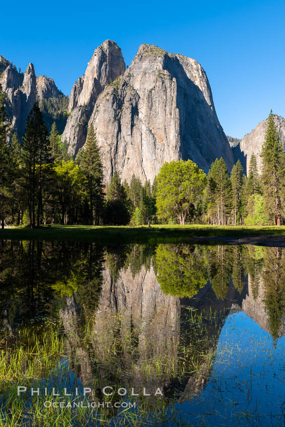 Cathedral Rocks at sunrise, reflected in a spring meadow flooded by the Merced River. Yosemite National Park, California, USA, natural history stock photograph, photo id 34546