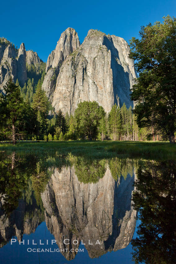 Cathedral Rocks at sunrise, reflected in a spring meadow flooded by the Merced River. Yosemite National Park, California, USA, natural history stock photograph, photo id 26856