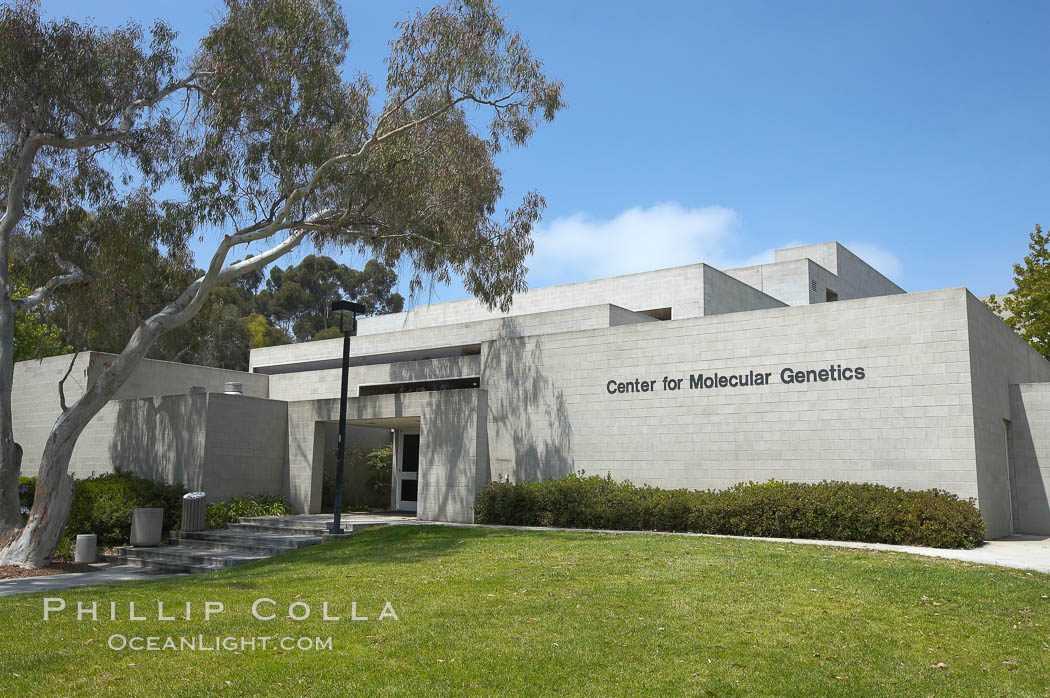 Center for Molecular Genetics building, University of California, San Diego (UCSD). La Jolla, USA, natural history stock photograph, photo id 20833
