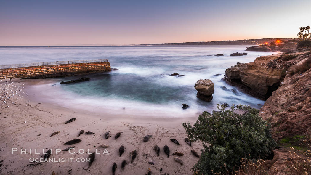 The Children's Pool, also known as Casa Cove, in pre-dawn light, La Jolla. California, USA, natural history stock photograph, photo id 28359