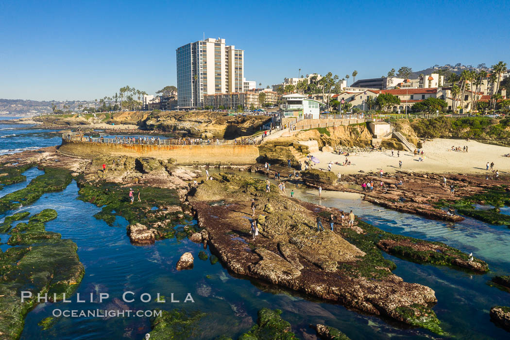 Childrens Pool Reef Exposed at Extreme Low Tide, La Jolla, California. USA, natural history stock photograph, photo id 38009