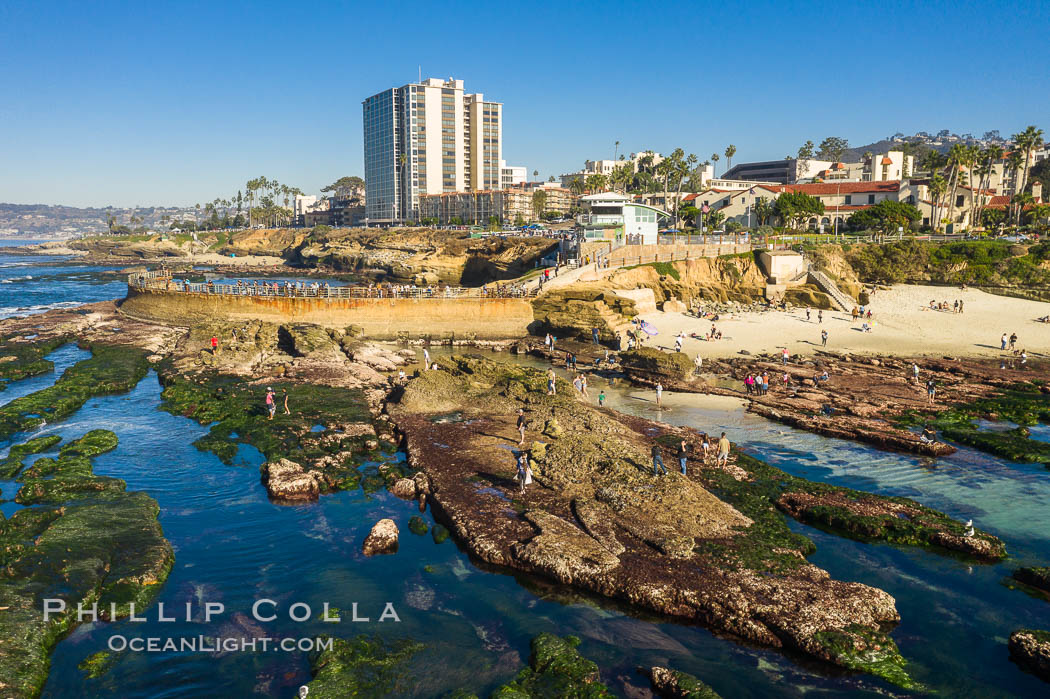 childrens-pool-reef-exposed-at-extreme-low-tide-la-jolla-california