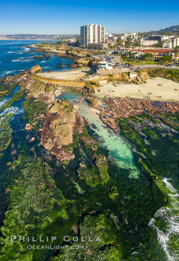 Childrens Pool Reef Exposed at Extreme Low King Tide, La Jolla, California. Aerial panoramic photograph, Children's Pool