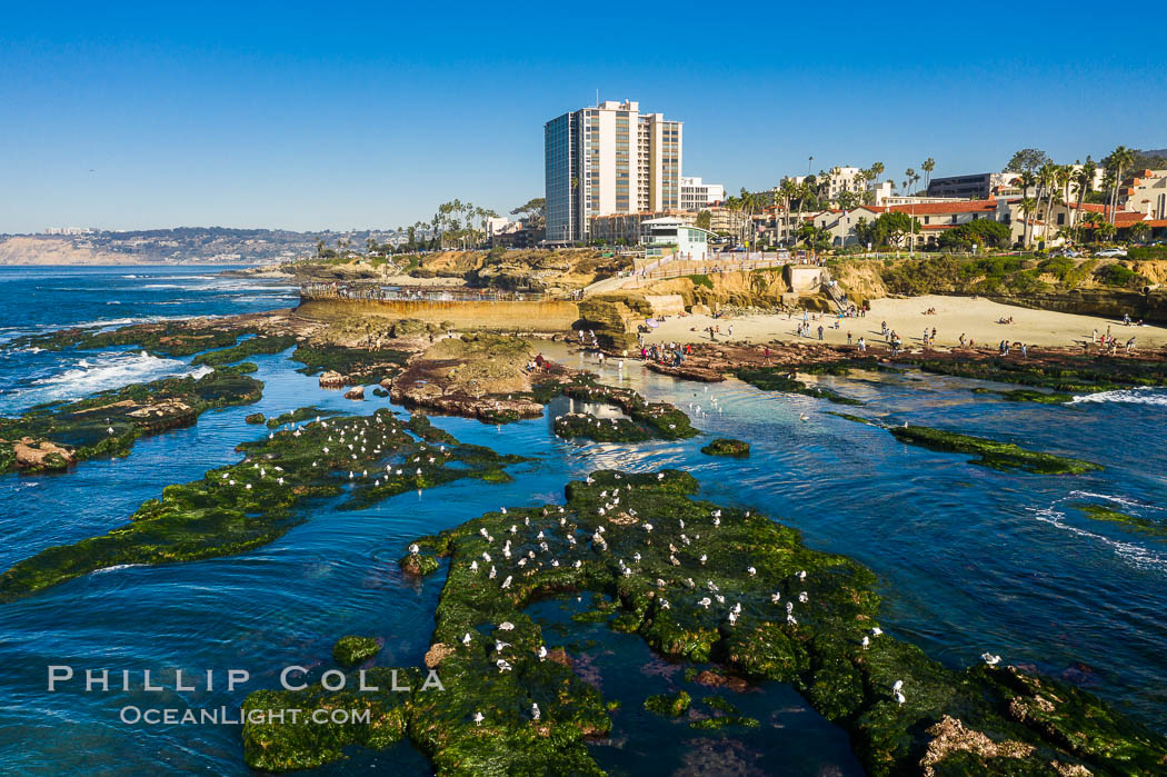 Childrens Pool Reef Exposed at Extreme Low King Tide, La Jolla, California. Aerial panoramic photograph, Children's Pool